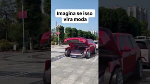 Read more about the article Olha que capa de carro diferente kkkk, bem personalizada